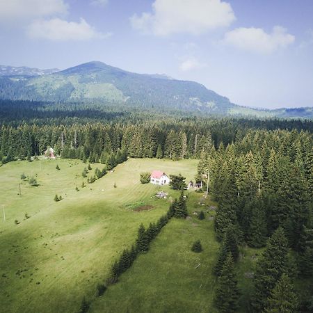 Homestay Djerkovic Žabljak 外观 照片