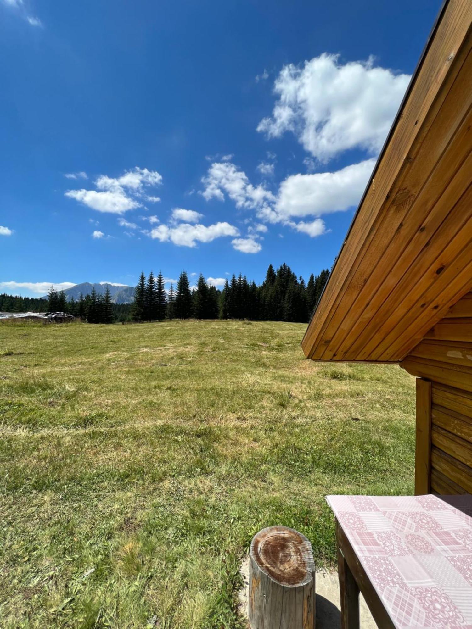 Homestay Djerkovic Žabljak 外观 照片