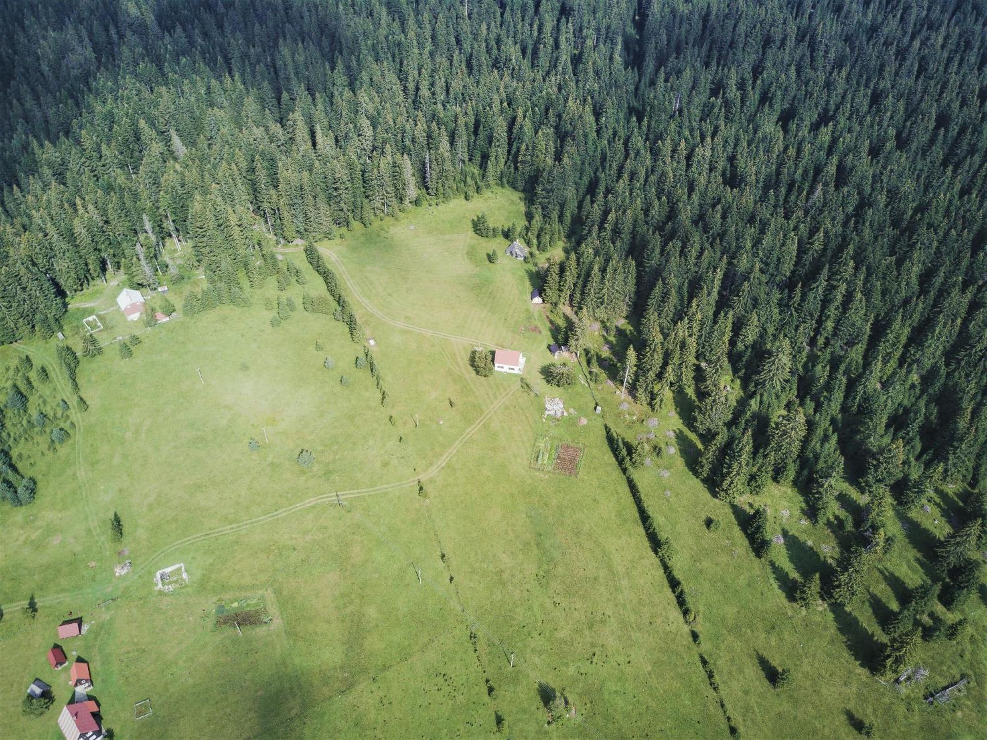 Homestay Djerkovic Žabljak 外观 照片