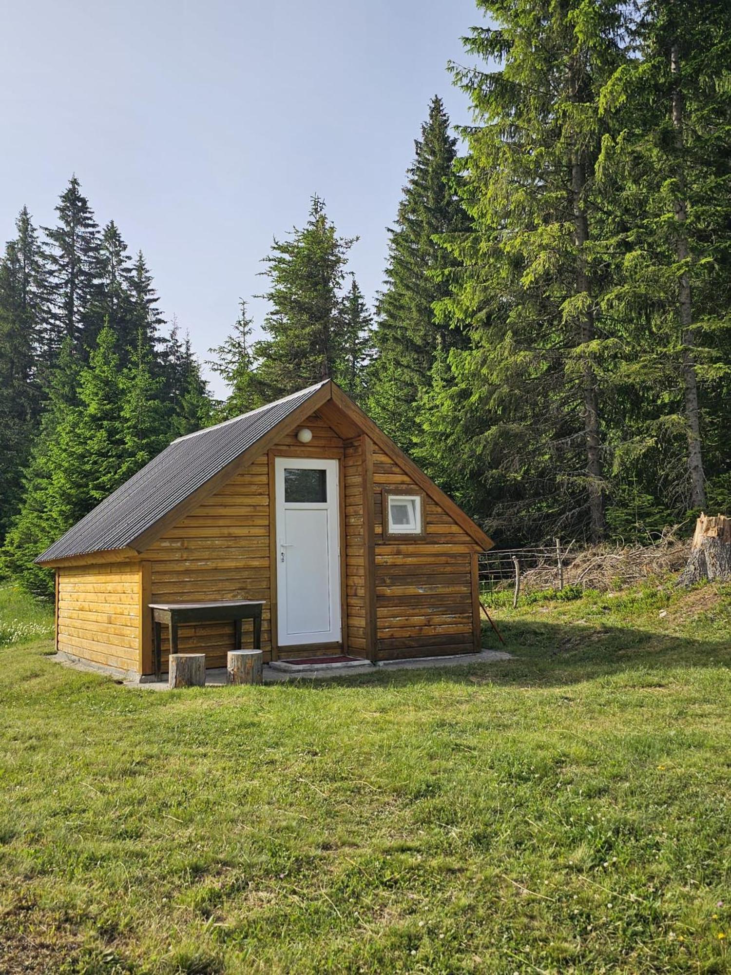 Homestay Djerkovic Žabljak 外观 照片