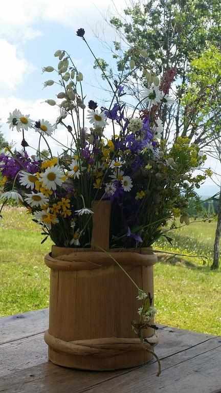 Homestay Djerkovic Žabljak 客房 照片