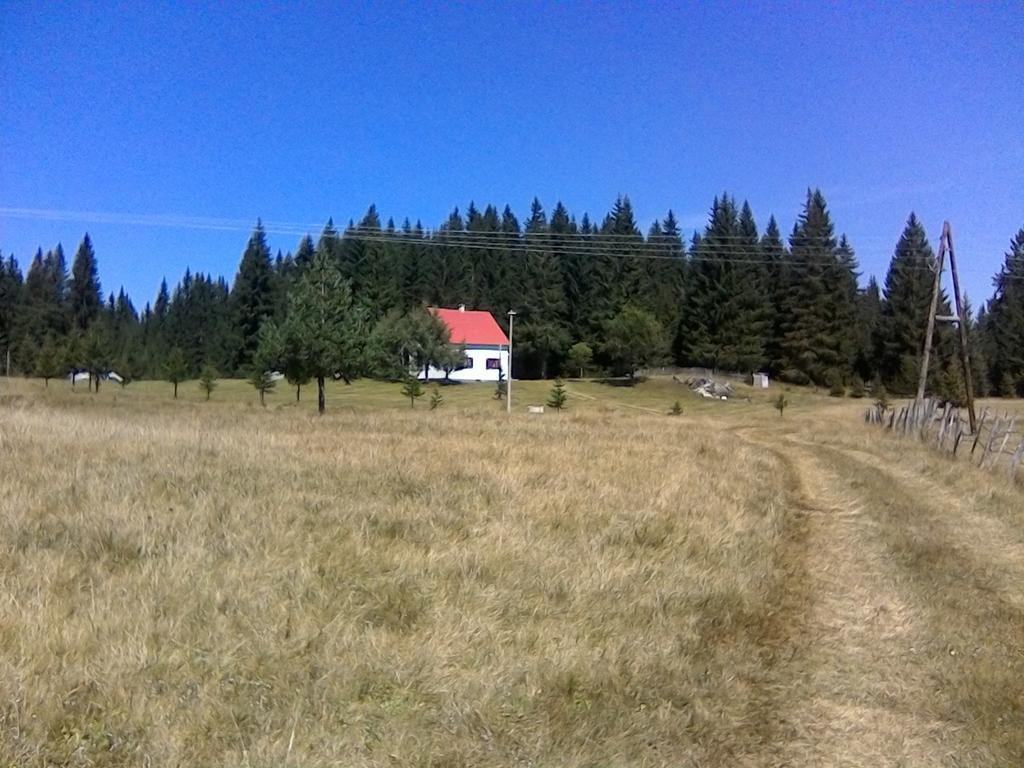 Homestay Djerkovic Žabljak 外观 照片