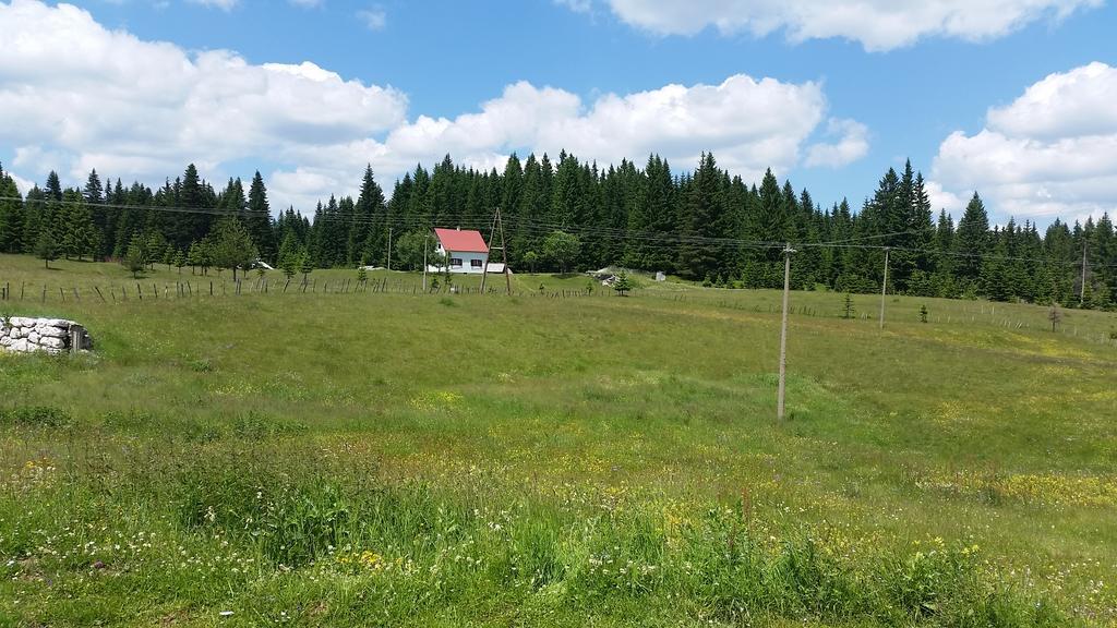 Homestay Djerkovic Žabljak 外观 照片
