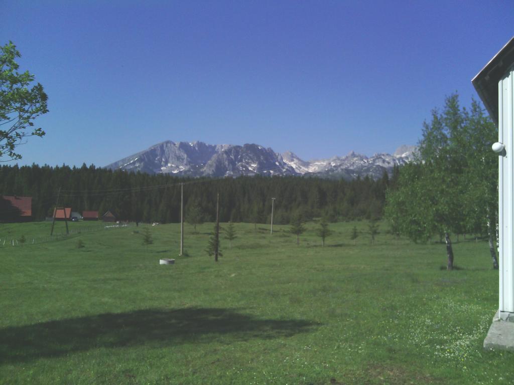 Homestay Djerkovic Žabljak 外观 照片