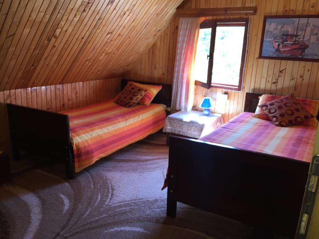 Homestay Djerkovic Žabljak 外观 照片