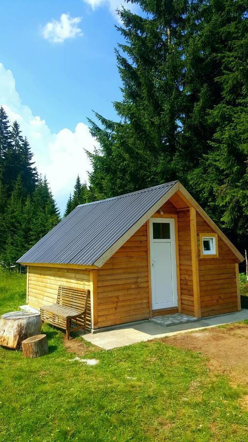 Homestay Djerkovic Žabljak 外观 照片